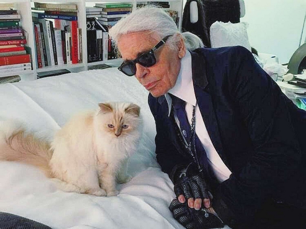 drama-za-testamentot-na-karl-lagerfeld-ostavi-milioni-na-svojata-machka-na-semejstvoto-ne-mu-dade-nishto-2.JPG