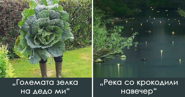 fotki-koi-ja-pokazhuvaat-nadrealnata-ubavina-na-prirodata-01.jpg