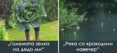 fotki-koi-ja-pokazhuvaat-nadrealnata-ubavina-na-prirodata-povekje.jpg
