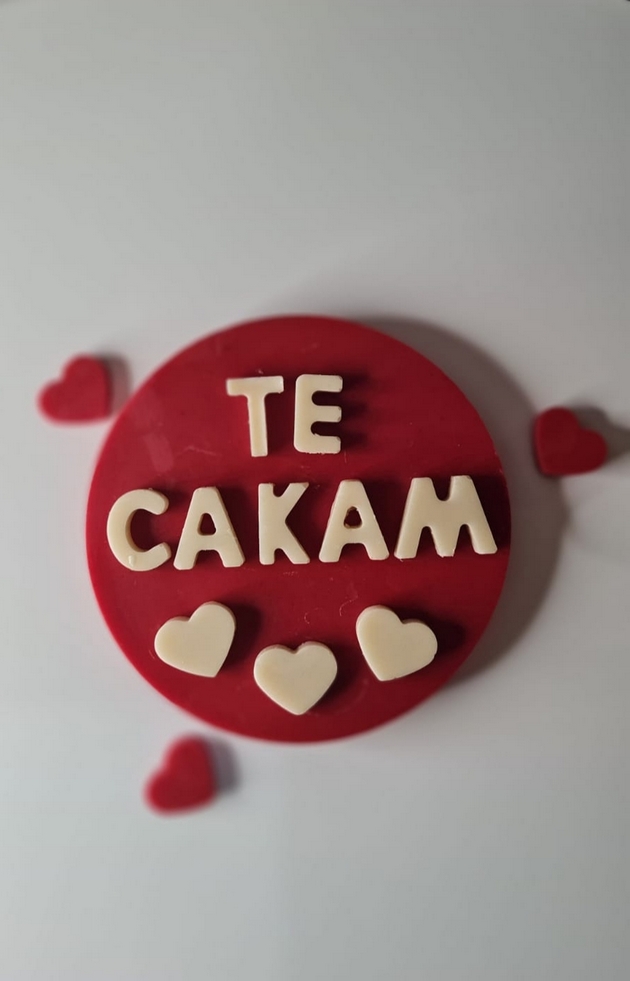 gabriela-i-radica-od-skopje-pravat-unikatni-chokoladni-deserti-za-nekoi-pokompleksni-kreacii-ni-se-poterbni-i-po-nekolku-dena-10.JPG