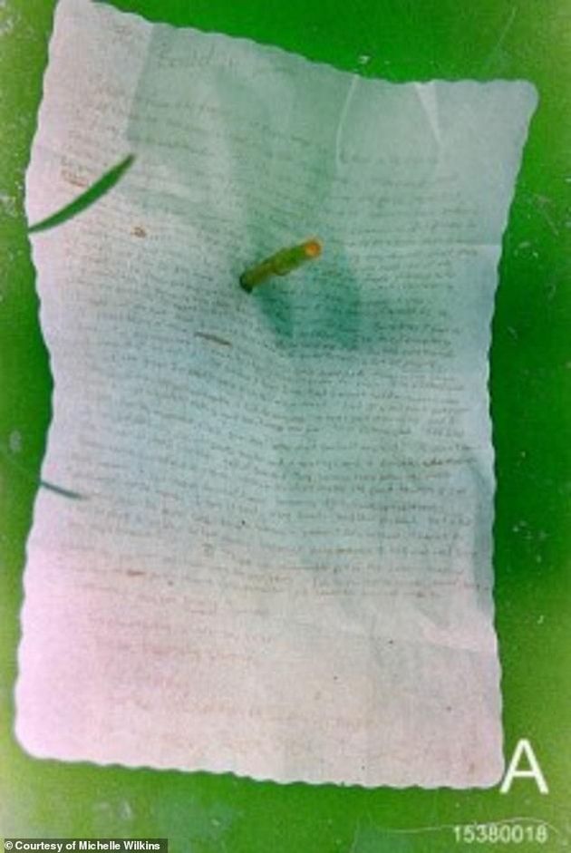 poraneshen-policaec-za-misterioznata-smrt-kurt-kobejn-definitivno-e-ubien-mnogu-raboti-se-somnitelni-06.JPG