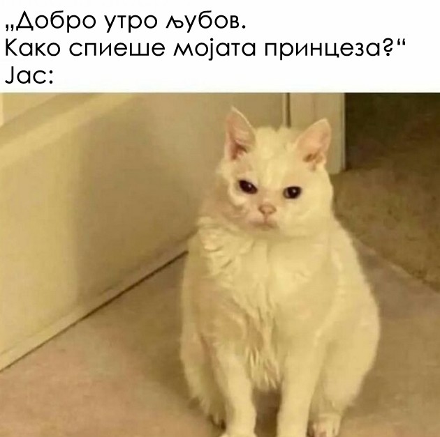 smeshna-kompilacija-meminja-vo-koja-kje-se-pronajde-sekoja-zhena-04.jpg