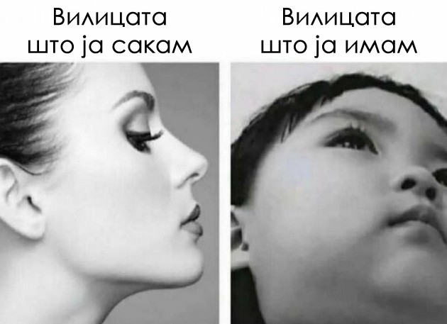 smeshna-kompilacija-meminja-vo-koja-kje-se-pronajde-sekoja-zhena-06.jpg