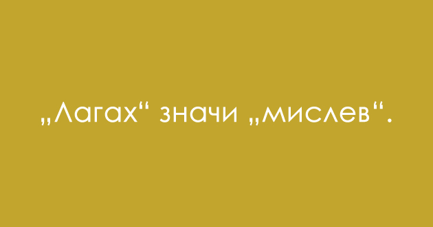 predizvik-za-poznavachite-na-dijalekti-shto-e-lagav-02_copy.jpg