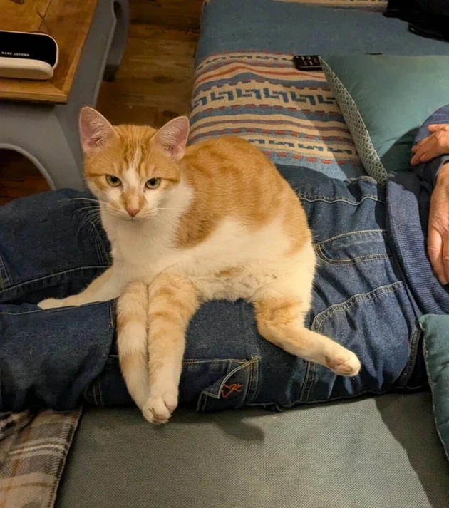 10-fotki-koi-kje-ve-zbunat-dokaz-deka-nachinot-na-koj-gi-gledate-rabotite-mnogu-menuva-06.jpg