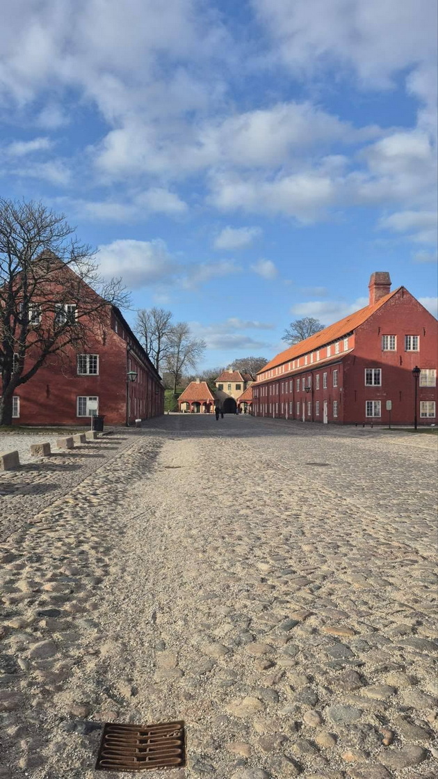 blagojche-atanasoski-bev-vo-kopenhagen-na-mechot-makedonija-danska-za-plasman-na-svetsko-gradot-e-sovrshen-cenite-se-kriminal-14.jpg