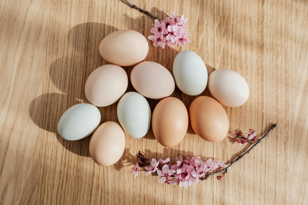 makedonski-nutricionist-odgovara-za-crnobelo-kolku-jajca-na-den-smeeme-da-jademe-03.jpg