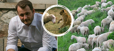 zoran-kostov-psiholog-shto-e-fenomenot-efekt-na-nabljuduvach-i-zoshto-lugjeto-se-nemi-svedoci-na-nechija-maka-01povekje_copy.jpg