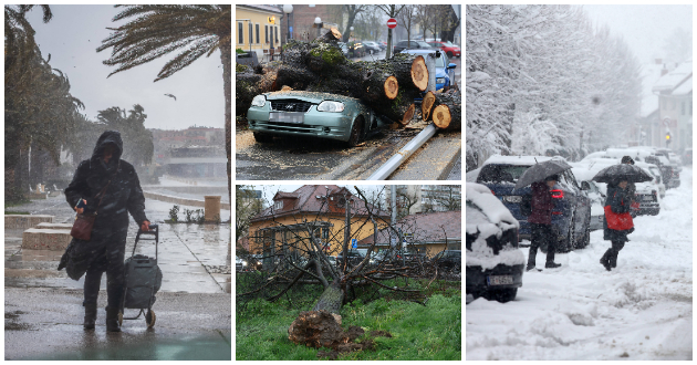 apokalipsa-vo-hrvatska-po-vrnezhite-od-sneg-i-silniot-vetar-otkornati-drvja-zatvoreni-uchilishta-foto-video-01.jpg