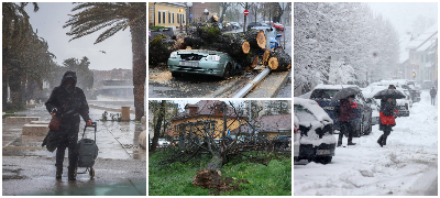 apokalipsa-vo-hrvatska-po-vrnezhite-od-sneg-i-silniot-vetar-otkornati-drvja-zatvoreni-uchilishta-foto-video-povekje.jpg