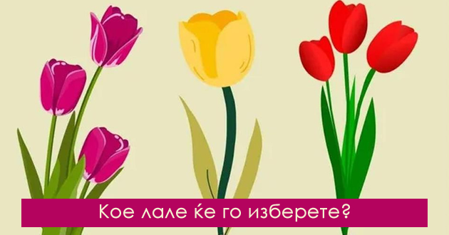 test-na-lichnost-izberete-lale-i-otkrijte-dali-ste-romantichni-ili-ambiciozni-01.jpg