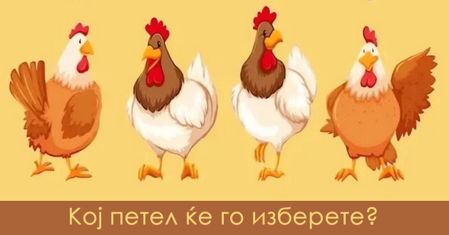test-na-lichnosta-izberete-petel-i-doznajte-zoshto-lugjeto-ve-izbegnuvaat-ili-zoshto-sakaat-da-se-druzhite-03.jpg