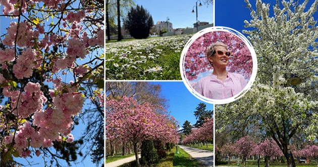 gradskiot-park-vo-skopje-e-scena-od-bajka-vo-prolet-foto-001.jpg