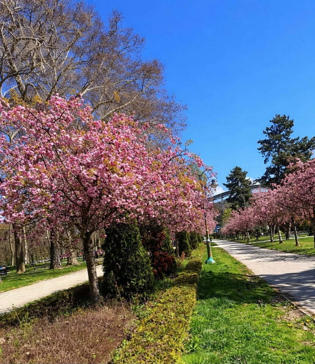 gradskiot-park-vo-skopje-e-scena-od-bajka-vo-prolet-foto-02.jpg