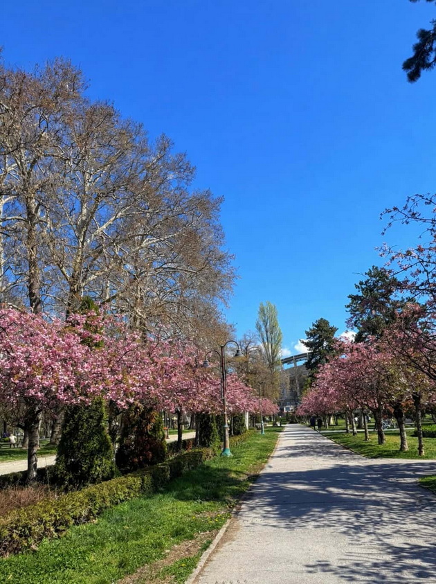 gradskiot-park-vo-skopje-e-scena-od-bajka-vo-prolet-foto-03.jpg
