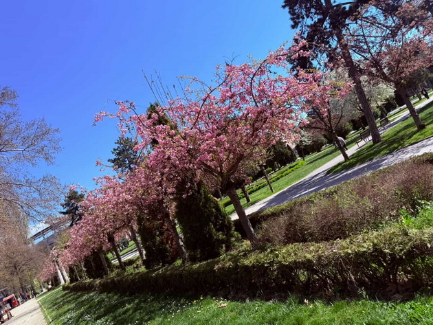 gradskiot-park-vo-skopje-e-scena-od-bajka-vo-prolet-foto-10.jpg