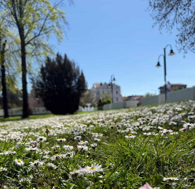 gradskiot-park-vo-skopje-e-scena-od-bajka-vo-prolet-foto-12.jpg