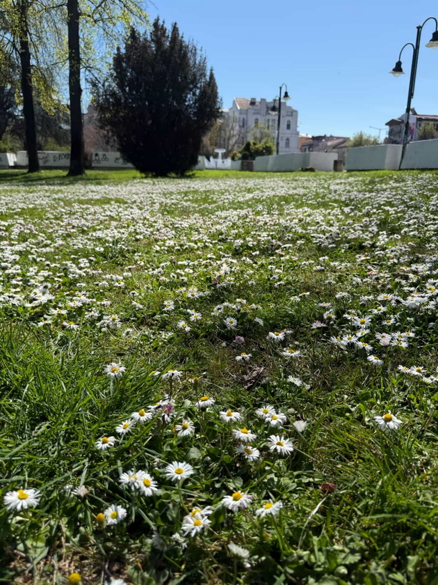 gradskiot-park-vo-skopje-e-scena-od-bajka-vo-prolet-foto-13.jpg