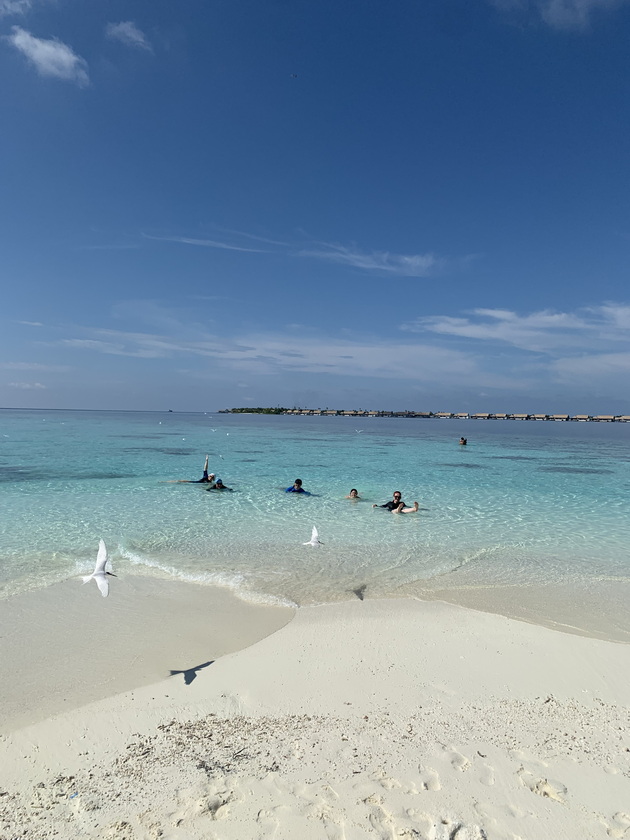 kristina-26-od-resen-zhivee-na-maldivi-vodich-sum-nurkam-so-ajkuli-se-druzham-so-lokalcite-im-donesov-i-belo-sirenje-27.jpeg