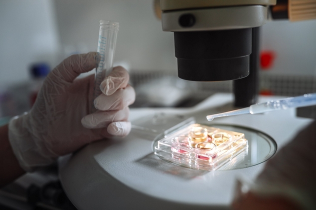 dobivme-dete-so-in-vitro-no-klinikata-iskoristila-tugj-embrion-ne-znaeme-kade-e-nashiot-04.JPG