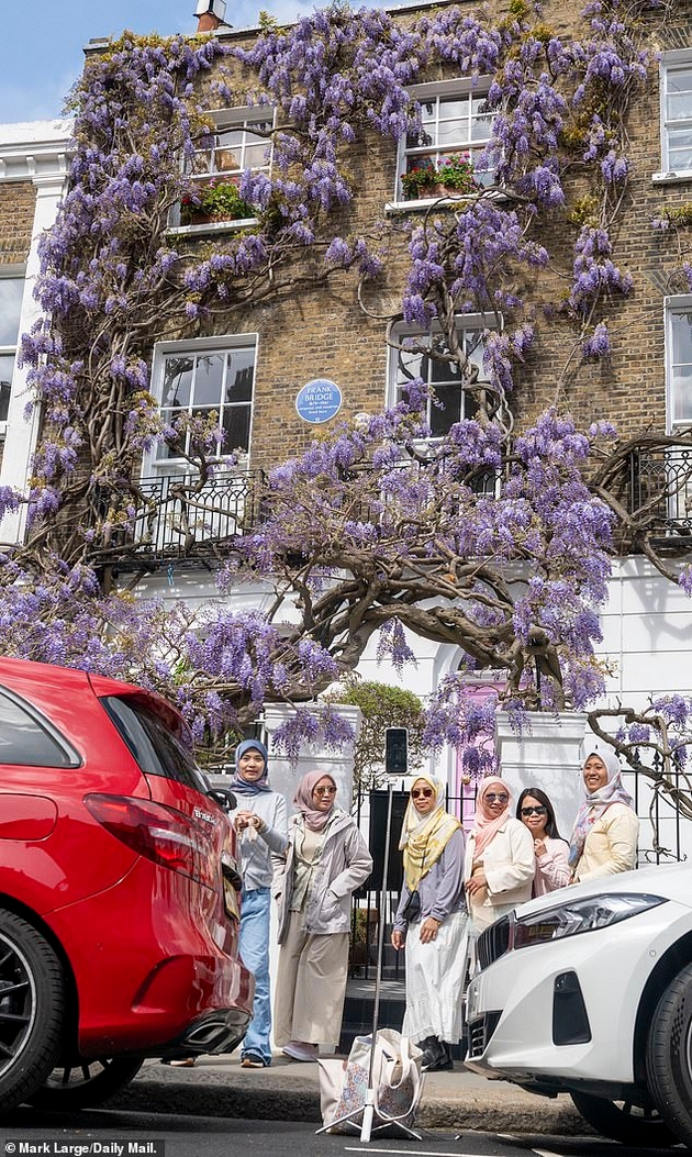 lugje-od-london-maka-machat-so-influenserkite-se-fotografiraat-pred-nivnata-kukja-ostavaat-gjubre-oshtetuvaat-rastenija-05.JPG