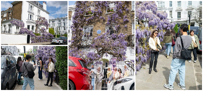 lugje-od-london-maka-machat-so-influenserkite-se-fotografiraat-pred-nivnata-kukja-ostavaat-gjubre-oshtetuvaat-rastenija-povekje.jpg