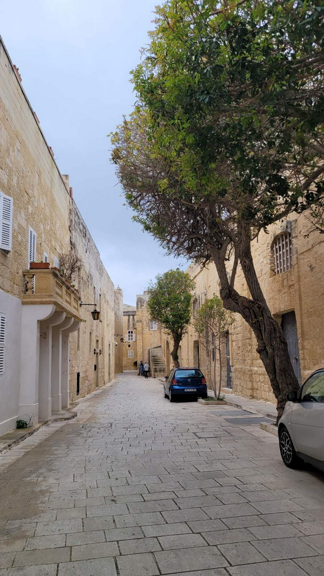 bev-na-malta-so-povraten-let-od-skopje-za-50-kafe-e-2-pechiva-ima-za-0-50-centi-no-shto-ne-mi-se-dopadna-60.jpg