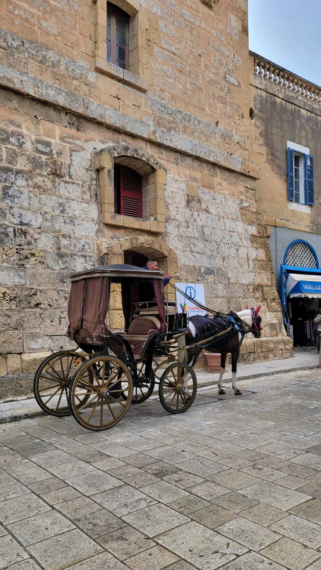 bev-na-malta-so-povraten-let-od-skopje-za-50-kafe-e-2-pechiva-ima-za-0-50-centi-no-shto-ne-mi-se-dopadna-70.jpg