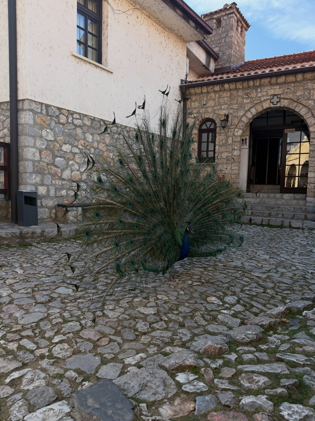 breskvica-go-poseti-ohrid-nosi-trenerka-so-obetki-od-4-000-plovi-so-gliser-po-ezeroto-06.jpg