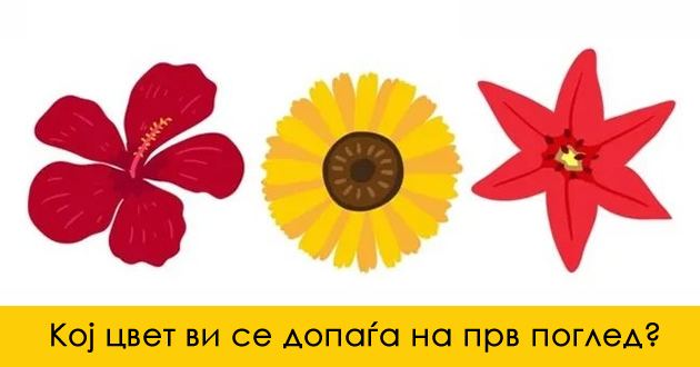 psiholoshki-test-cvetot-shto-kje-go-izberete-otkriva-shto-vi-treba-itno-a-ne-ste-svesni-za-toa-01.jpg