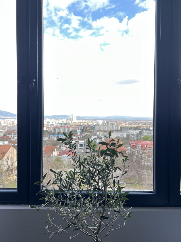 vo-domot-na-ivana-i-miro-kacarov-stan-od-120m2-vo-przhino-so-kamin-i-crven-frizhider-foto-25.jpeg