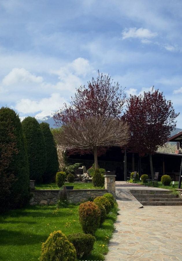 lokal-vo-zelenilo-vo-selo-brusnik-e-sovrsheno-vikend-begstvo-raj-za-vljubenicite-vo-priroda-foto-08.jpg