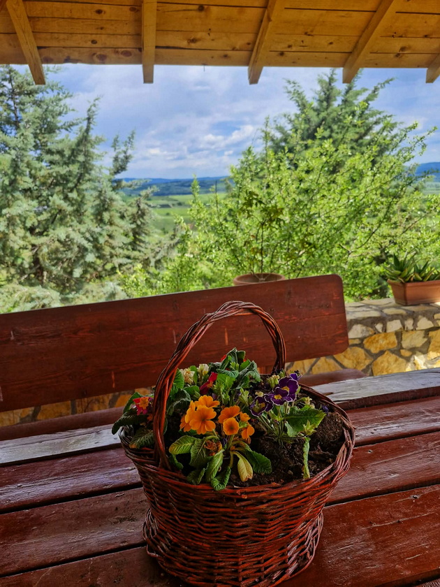 ne-e-toskana-skopsko-ajvatovci-e-foto-12.jpg