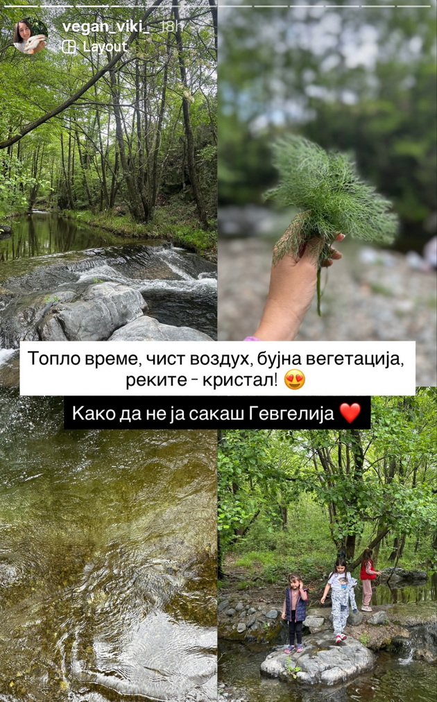 vegan-viki-so-svoite-dve-deca-i-so-dvete-na-svrshenikot-se-srekjno-semejstvo-od-6-na-piknik-vo-priroda-05.jpg