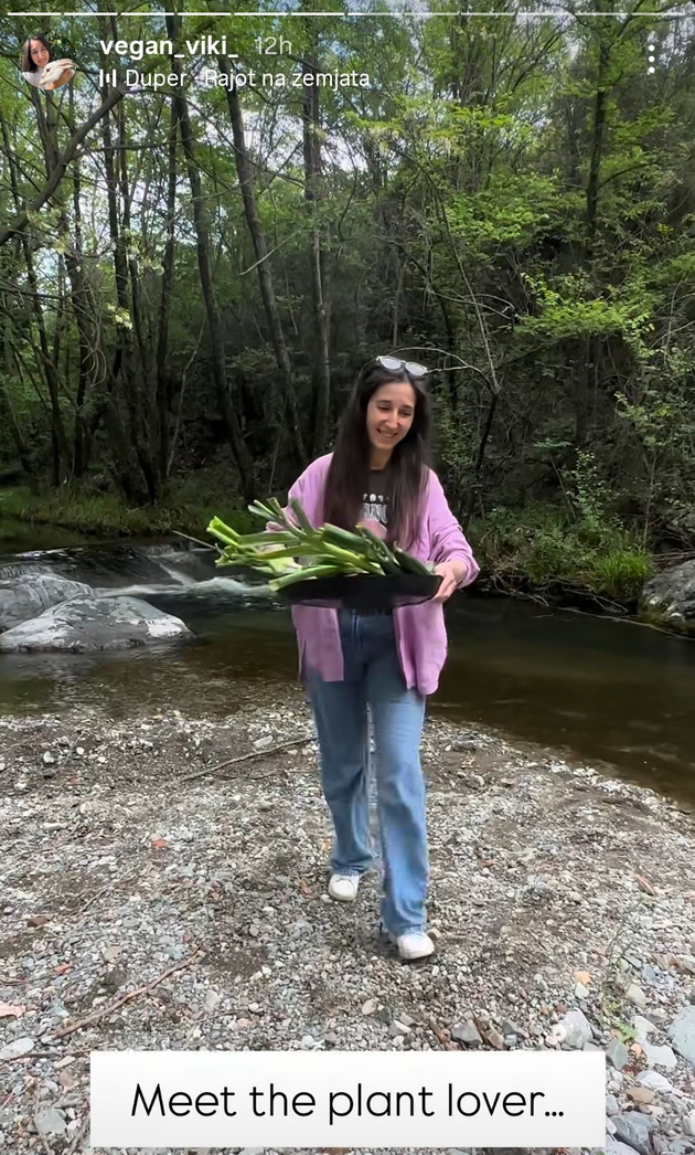 vegan-viki-so-svoite-dve-deca-i-so-dvete-na-svrshenikot-se-srekjno-semejstvo-od-6-na-piknik-vo-priroda-08.jpg