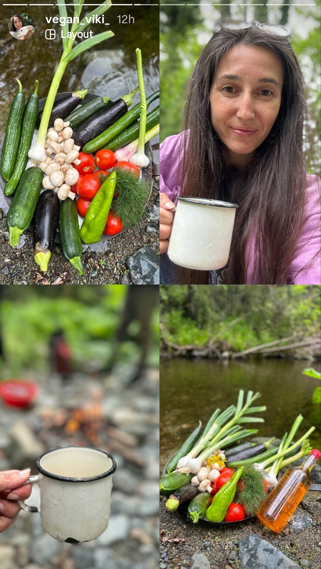 vegan-viki-so-svoite-dve-deca-i-so-dvete-na-svrshenikot-se-srekjno-semejstvo-od-6-na-piknik-vo-priroda-09.jpg