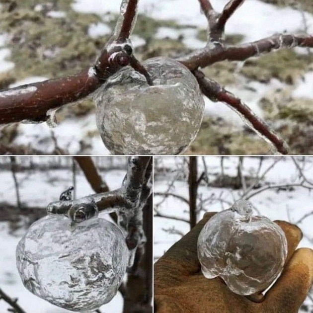 nadrealni-fotki-koi-pokazhuvaat-kolku-e-chudna-prirodata-08.JPG