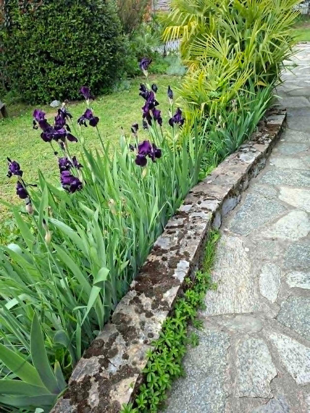 vo-dvorot-na-dobrila-od-ohrid-zelen-raj-so-mnogu-cvekjinja-i-furna-19.JPG