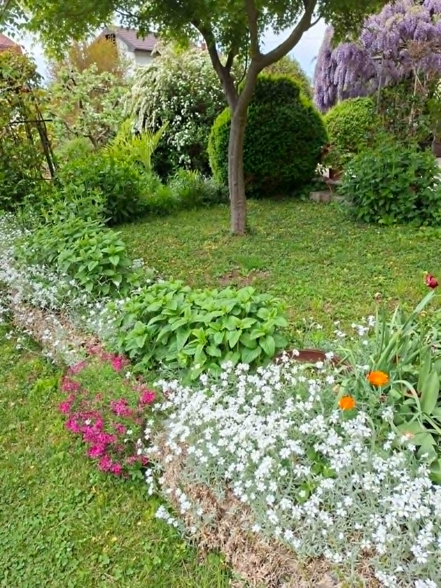 vo-dvorot-na-dobrila-od-ohrid-zelen-raj-so-mnogu-cvekjinja-i-furna-20.JPG