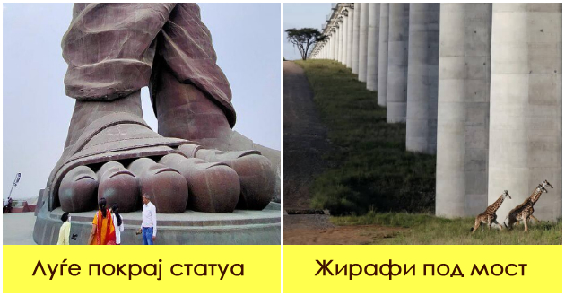 10-interesni-fotki-koi-pokazhuvaat-deka-goleminata-e-navistina-vazhna-01.jpg