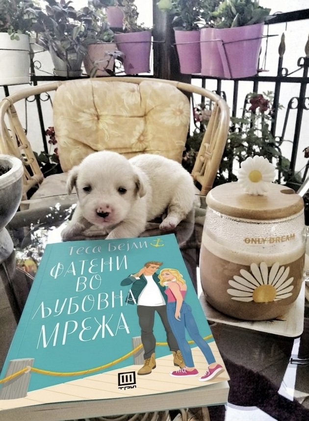 dijana-od-kavadarci-ima-biblioteka-od-1-200-knigi-mesechno-dava-4-000-denari-za-novi-koi-i-se-omileni-dela-17.jpeg