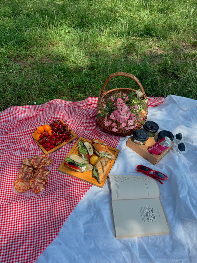 aleksandra-pizevska-so-piknik-fotki-od-gradski-park-i-vo-skopje-mozhe-da-bide-prekrasno-ako-se-potrudime-15.jpeg