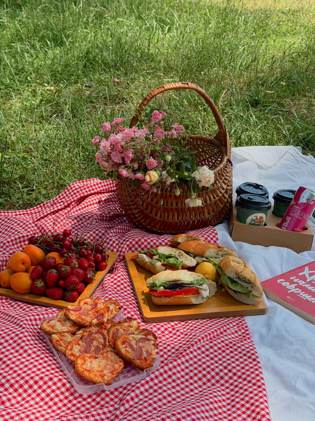 aleksandra-pizevska-so-piknik-fotki-od-gradski-park-i-vo-skopje-mozhe-da-bide-prekrasno-ako-se-potrudime-19.jpeg