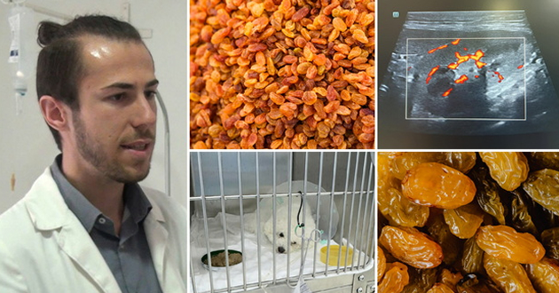 kuche-od-rasa-bishon-2-jadelo-suvo-grozje-nash-veterinar-so-eho-snimka-i-apel-suvoto-grozje-e-toksichno-za-kuchinjata-01.jpg