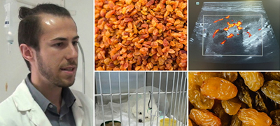 kuche-od-rasa-bishon-2-jadelo-suvo-grozje-nash-veterinar-so-eho-snimka-i-apel-suvoto-grozje-e-toksichno-za-kuchinjata-01povekje.jpg