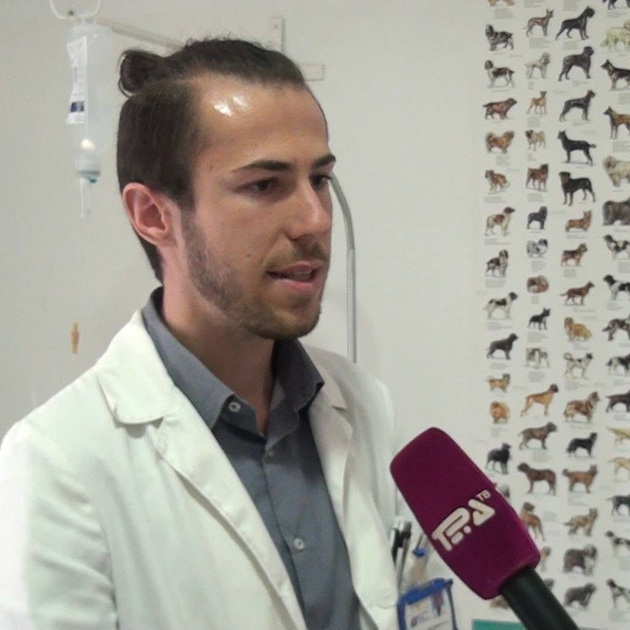 kuche-od-rasa-bishon-2-jadelo-suvo-grozje-nash-veterinar-so-eho-snimka-i-apel-suvoto-grozje-e-toksichno-za-kuchinjata-02.jpg