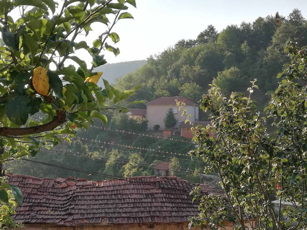 na-gosti-kaj-vanja-todorovska-vo-selo-smilevo-tuka-uzhivam-vo-pogledot-zbogaten-so-vkusot-na-pitulici-02.jpg