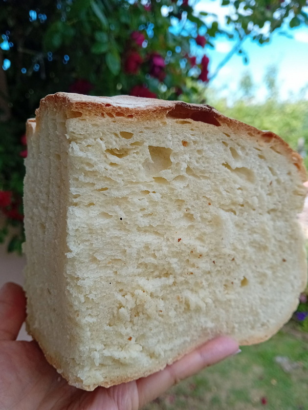 na-gosti-kaj-vanja-todorovska-vo-selo-smilevo-tuka-uzhivam-vo-pogledot-zbogaten-so-vkusot-na-pitulici-12.jpg