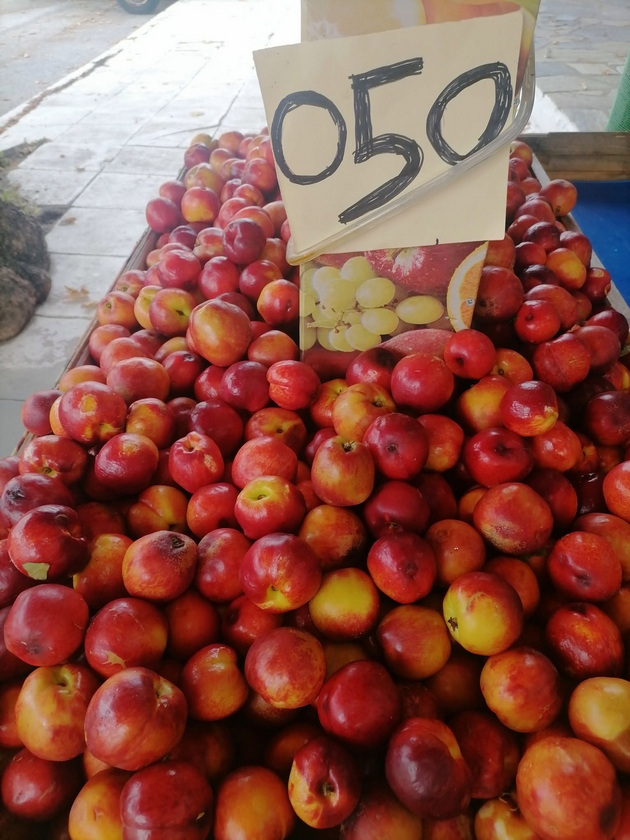 poevtino-od-makedonija-vo-koe-grchko-letuvalishte-kje-si-kupite-praski-i-kajsii-za-30-denari-kilogram-04.jpg