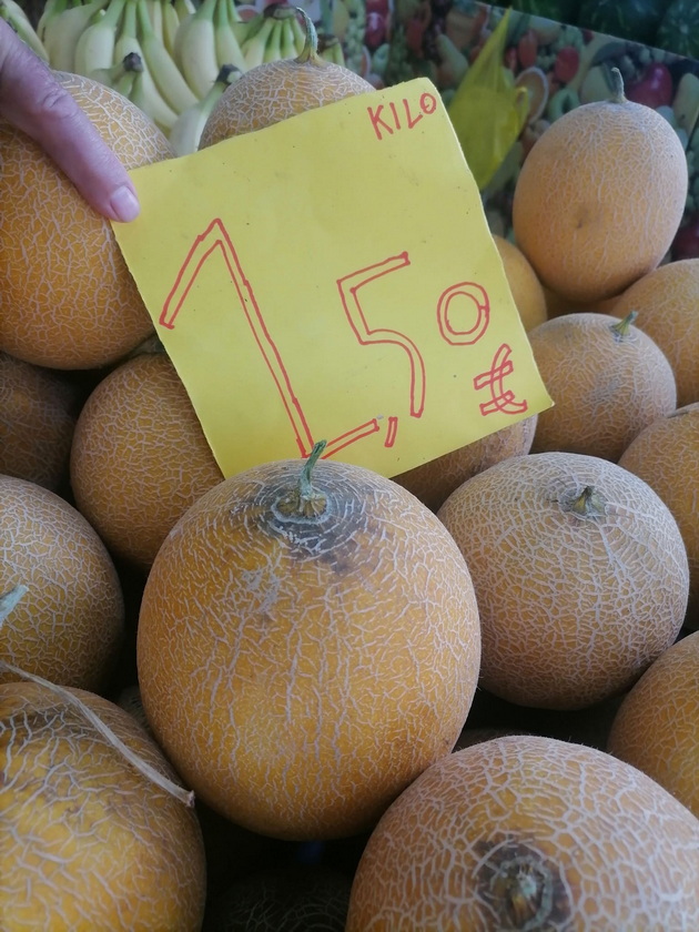 poevtino-od-makedonija-vo-koe-grchko-letuvalishte-kje-si-kupite-praski-i-kajsii-za-30-denari-kilogram-07.jpg